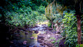 Waimea Valley - Oahu Hawaii