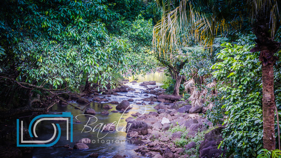 Waimea Valley - Oahu Hawaii