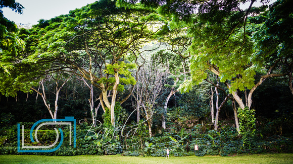 Waimea Valley - Oahu Hawaii