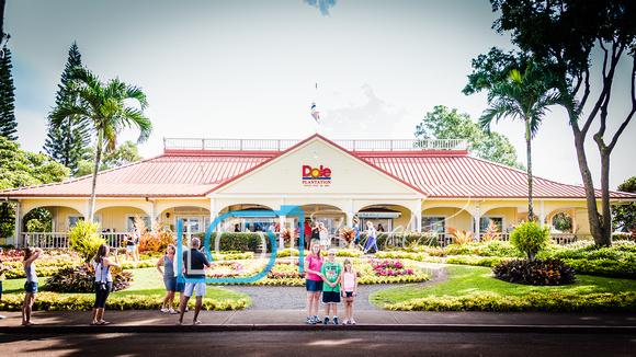 The Dole Plantation