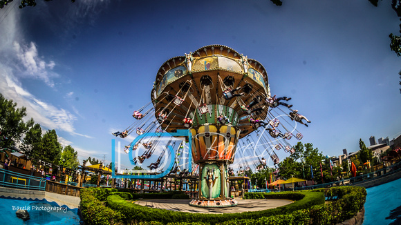 Elitche Gardens Swings - Colorado