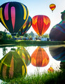 Frederick In Flight - Frederick Colorado