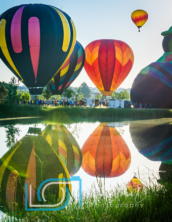 Frederick In Flight - Frederick Colorado